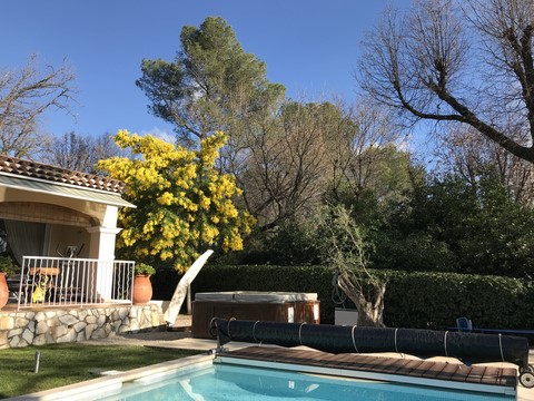 Mimosa season 02-2018